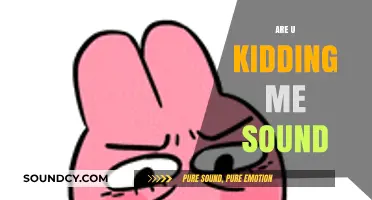Are U Kidding Me Sound: Decoding the Viral Meme and Its Impact