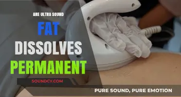 The Truth About Ultrasound Fat Loss: Permanent Results?