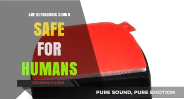 Ultrasonic Sounds: Are They Safe for Humans?
