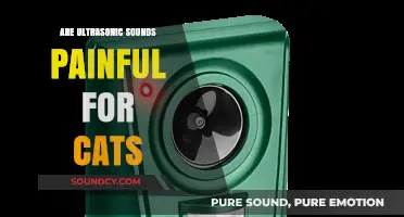 Ultrasonic Sounds: A Painful Experience for Cats?