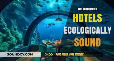 Underwater Hotels: Sustainable Innovation or Ecological Threat?