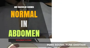 Vascular Sounds in Abdomen: Normal or Not?