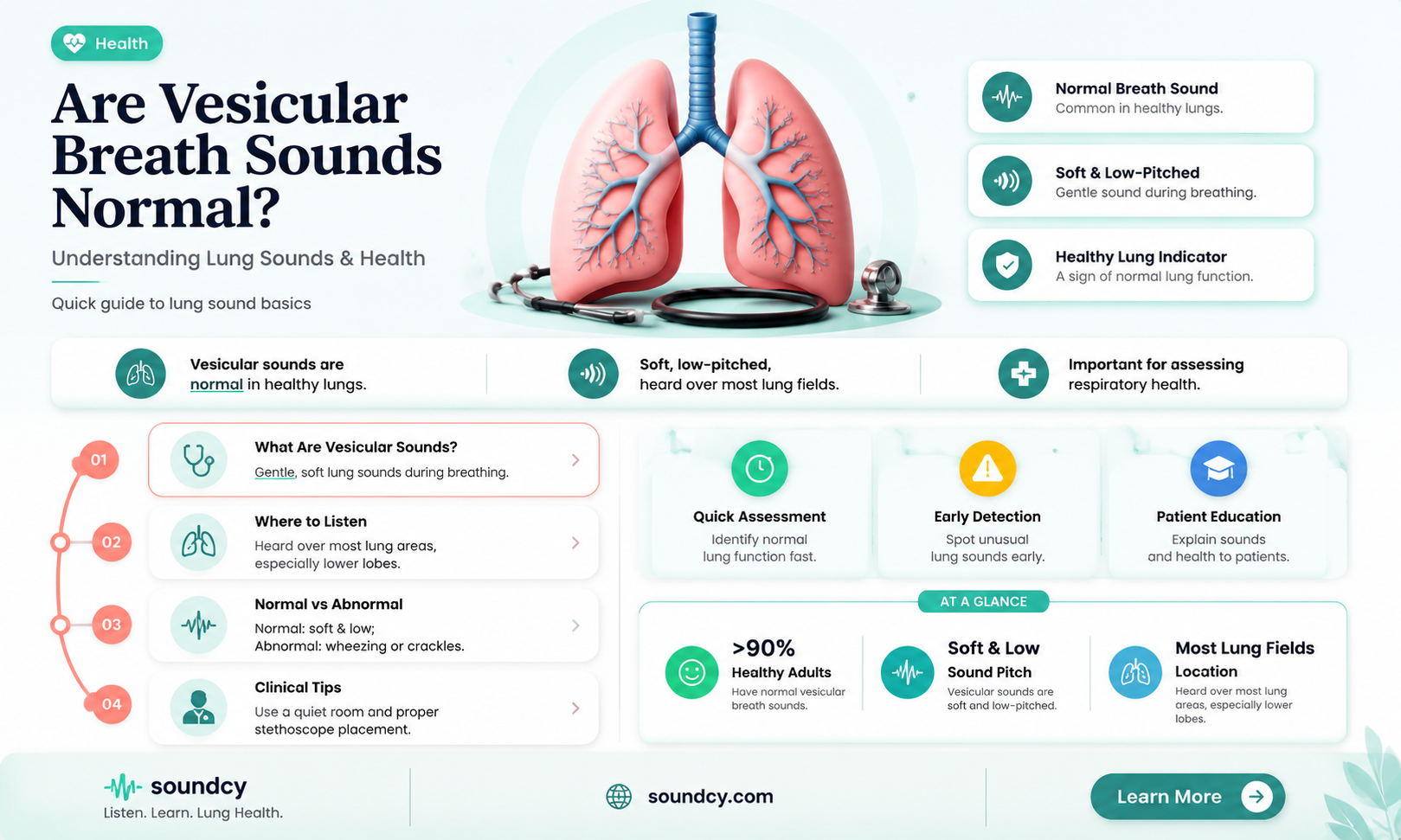are vesicular breath sounds normal