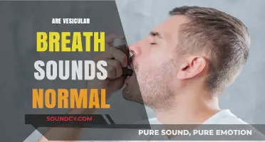 Are Vesicular Breath Sounds Normal? Understanding Lung Sounds and Health