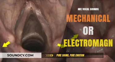 Vocal Sounds: Mechanical or Electromagnetic?