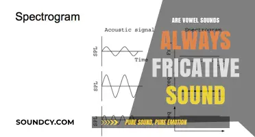 Explore the Intricacies of Vowel and Fricative Sounds