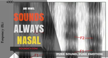 Are Vowel Sounds Always Nasal? Exploring Phonetics and Nasality