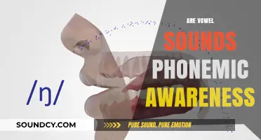 Unlocking Phonemic Awareness: Understanding the Role of Vowel Sounds in Reading
