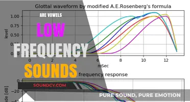 Are Vowels Low Frequency Sounds? Unraveling the Acoustic Mystery