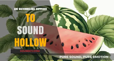 How to Pick a Ripe Watermelon: The Hollow Sound Test