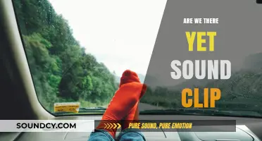 Are We There Yet?" Audio Clip: A Parent's Dilemm
