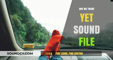 Are We There Yet?" Audio File: A Journey's En