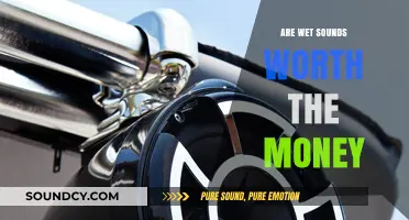 Wet Sounds Speakers: Worth the Investment?