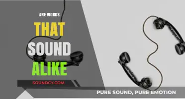 Homophones Unveiled: Exploring Words That Sound Alike But Mean Differently