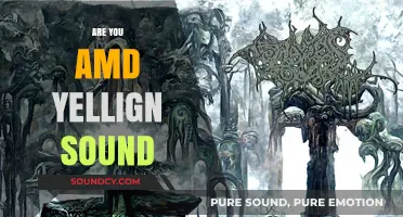 Are You AMD Yelling Sound? Understanding the Noise Behind the Tech