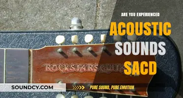 Unveiling Hendrix's Acoustic Sounds in SACD