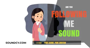 Are You Following Me Sound? Decoding Its Meaning and Cultural Impact