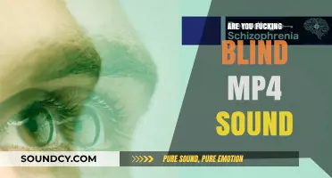 Blind to Reality: MP4 Soundscape