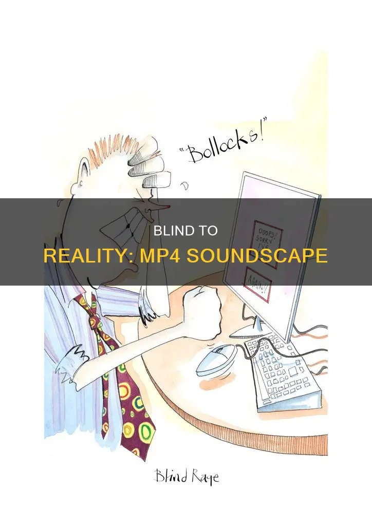 are you fucking blind mp4 sound