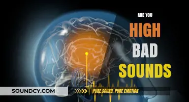 Are You Hearing Bad Sounds? Understanding and Managing Tinnitus Symptoms