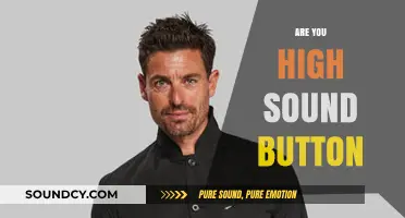Are You High? Sound Button: Hilarious Reactions and Viral Moments