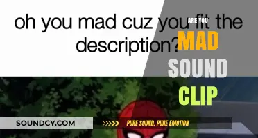 Are You Mad Sound Clip: Origins, Memes, and Viral Impact Explained