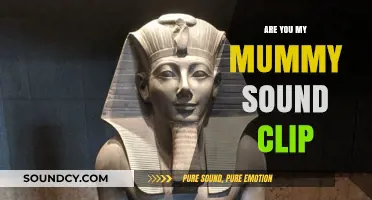 Are You My Mummy?" Sound Clip: Memorable Doctor Who Momen