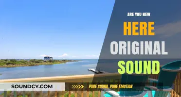 Exploring Original Sounds: Are You New Here?