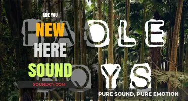 Are You New Here? Decoding the Sound of Belonging and Identity