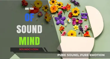 Are You of Sound Mind? Exploring Mental Clarity and Well-Being