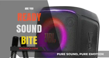 Are You Ready Sound Bite: Crafting Impactful Messages That Resonate Instantly