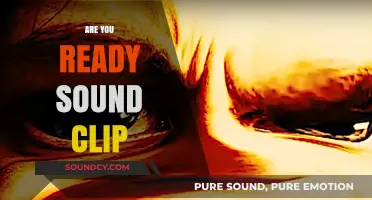 Are You Ready Sound Clip: Elevate Your Projects with This Iconic Audio