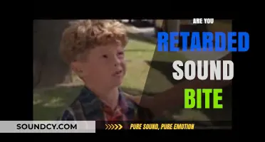 Are You Retarded Sound Bite: Impact, Ethics, and Cultural Sensitivity