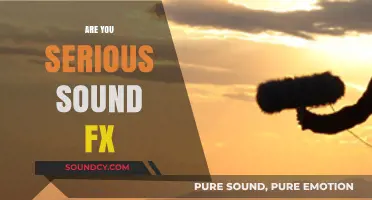 Are You Serious Sound FX: Elevate Your Content with Perfect Timing