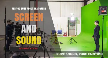 Green Screen and Sound: Are You Confident in Your Setup?