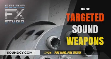 Are You a Target? Uncovering the Truth About Directed Sound Weapons
