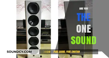 Decoding the Iconic 'Are You the One' Sound: Origins and Impact