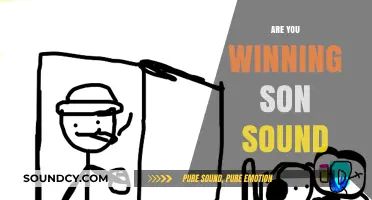 Are You Winning, Son? Sound: Decoding the Viral Phrase and Its Impact