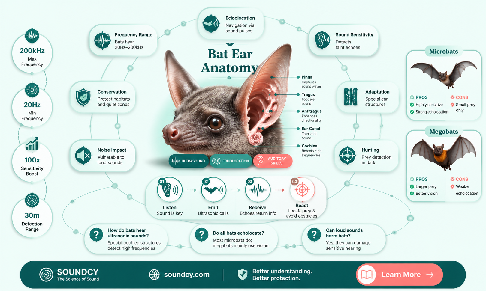 are bats sensitive to sound