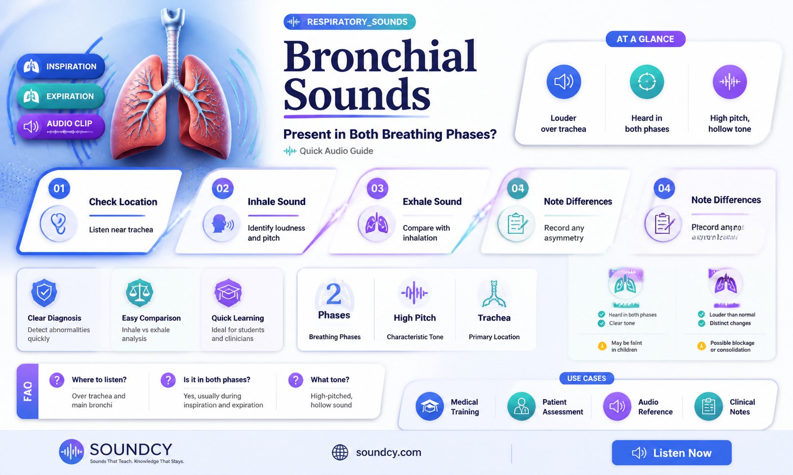 are bronchial sounds heard during both inspiration and expiration