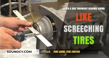 Screeching Noise: Could a Bad Throwout Bearing Mimic Tire Sounds?