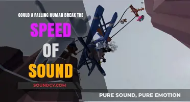 Can Humans Break the Sound Barrier in Free Fall?