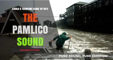 Could a Tsunami Reach Pamlico Sound? Exploring the Risks and Possibilities