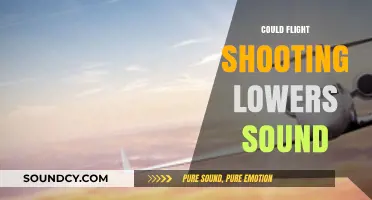 Could Flight Shooting Lower Sound Levels? Exploring Quieter Aviation Solutions