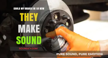 New Brakes Squeaking? Understanding Why Fresh Pads Make Noise