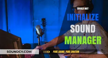 Troubleshooting 'Could Not Initialize Sound Manager' Error: Quick Fixes and Solutions