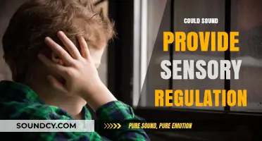 Exploring Sound's Potential for Sensory Regulation and Calm Focus