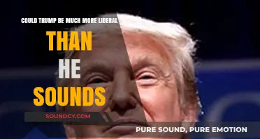 Trump's Hidden Liberalism: Uncovering Surprising Progressive Policies Beneath the Rhetoric