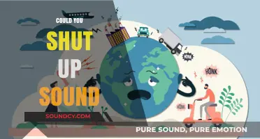 Could You Shut Up Sound: Mastering Silence in Noisy Environments