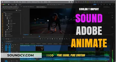 Troubleshooting Adobe Animate: No Sound Import